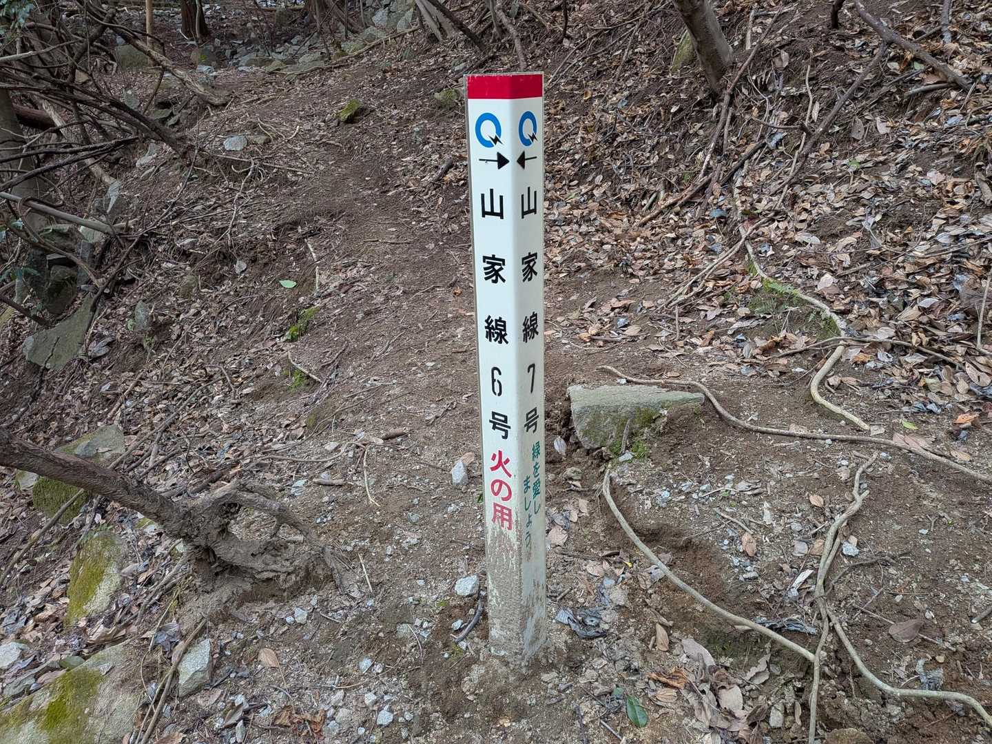 ここは左で正解でした