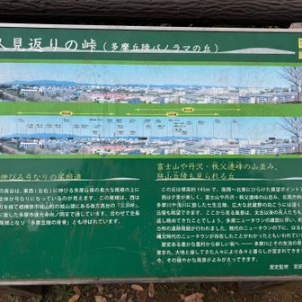 晴れてたら色々見渡せるそうです、が