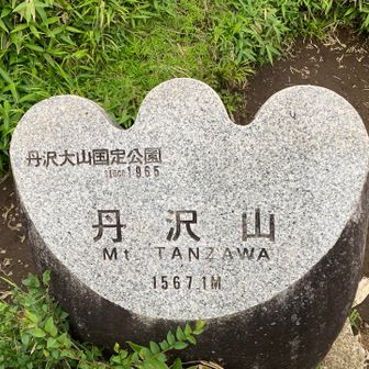 やっとたどり着いた丹沢山1567.１メートル。