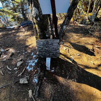 毛無山山頂を目指して