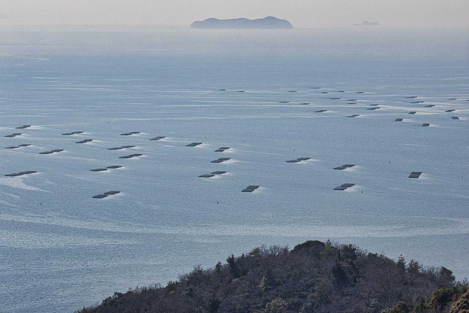 牡蠣棚だと思いますが、今年度は大変な事になってますが、今後しっかり頑張って成長してくれよと思いながら記録！