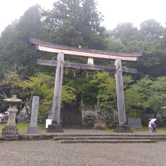 中社。鳥居デカい