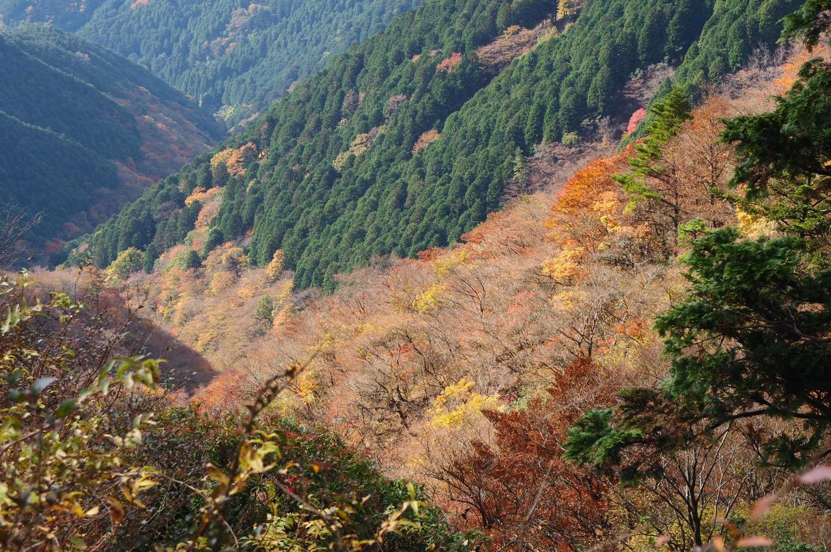 山肌の紅葉が綺麗です。