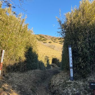 良く薮を刈ってくれて手入れされた道が続く