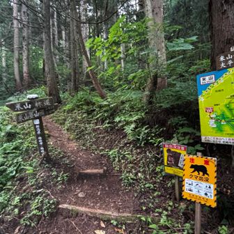 登山口スタート