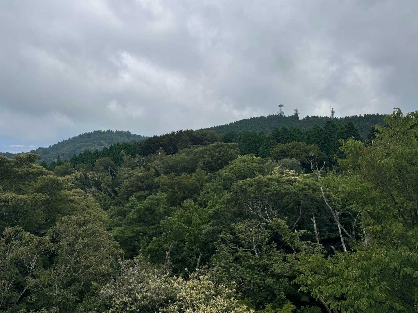 金剛山と湧出岳