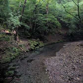 まだ薄暗い川面