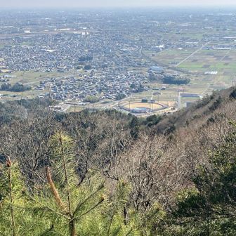 🅿️は、、、んー、遠くて判別不可。
グランドの手前なんですが。