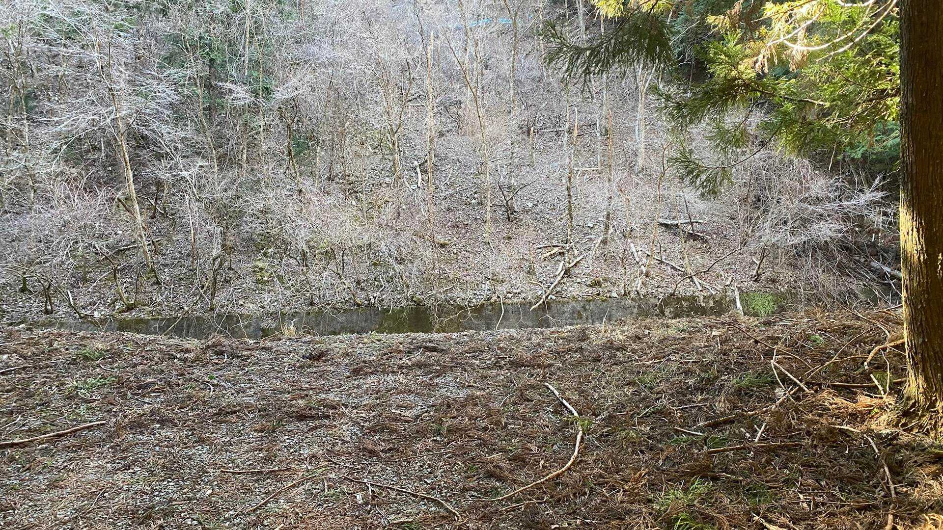 これ一瞬水面に見えたけど、見える？