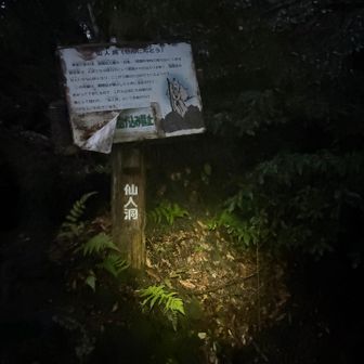 雨と蒸し蒸しでそれどころではない