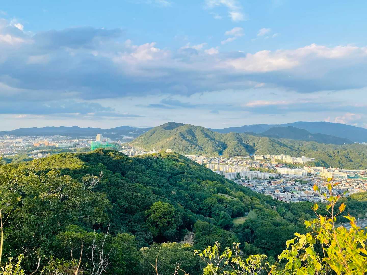 縦走路を望む⛰️
今日は横尾山まで！