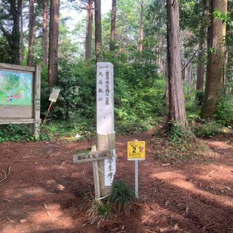ほどなく西山高取に到着。
山標は樹林の中にある。