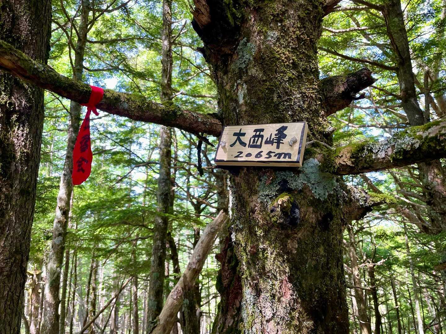 2,000m超えた、耳に異常なし👌🏻
次は2,500mまでの山にチャレンジしよ〜！