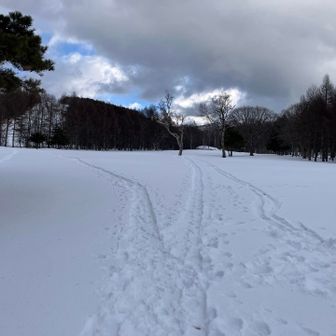 振り返ると運命の分かれ道👀朝にここを左に行けばもう少し上まで登れたかも？