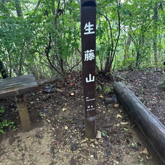 急登を少し登りましたが、ガスで？展望無し