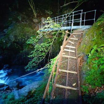 5号橋。こいつも安心タイプ。良く見ると今は使用されてないアンカーが両岸に設置されてたので2号とかと同じタイプが過去には設置されていたのかなと。