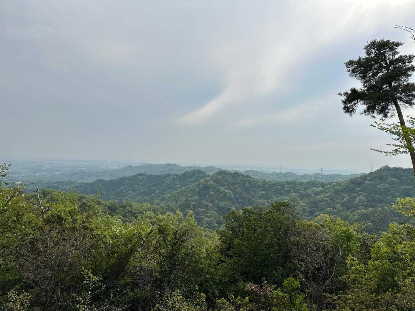 東昌寺-城ヶ峰-御門杉 周回コースの写真