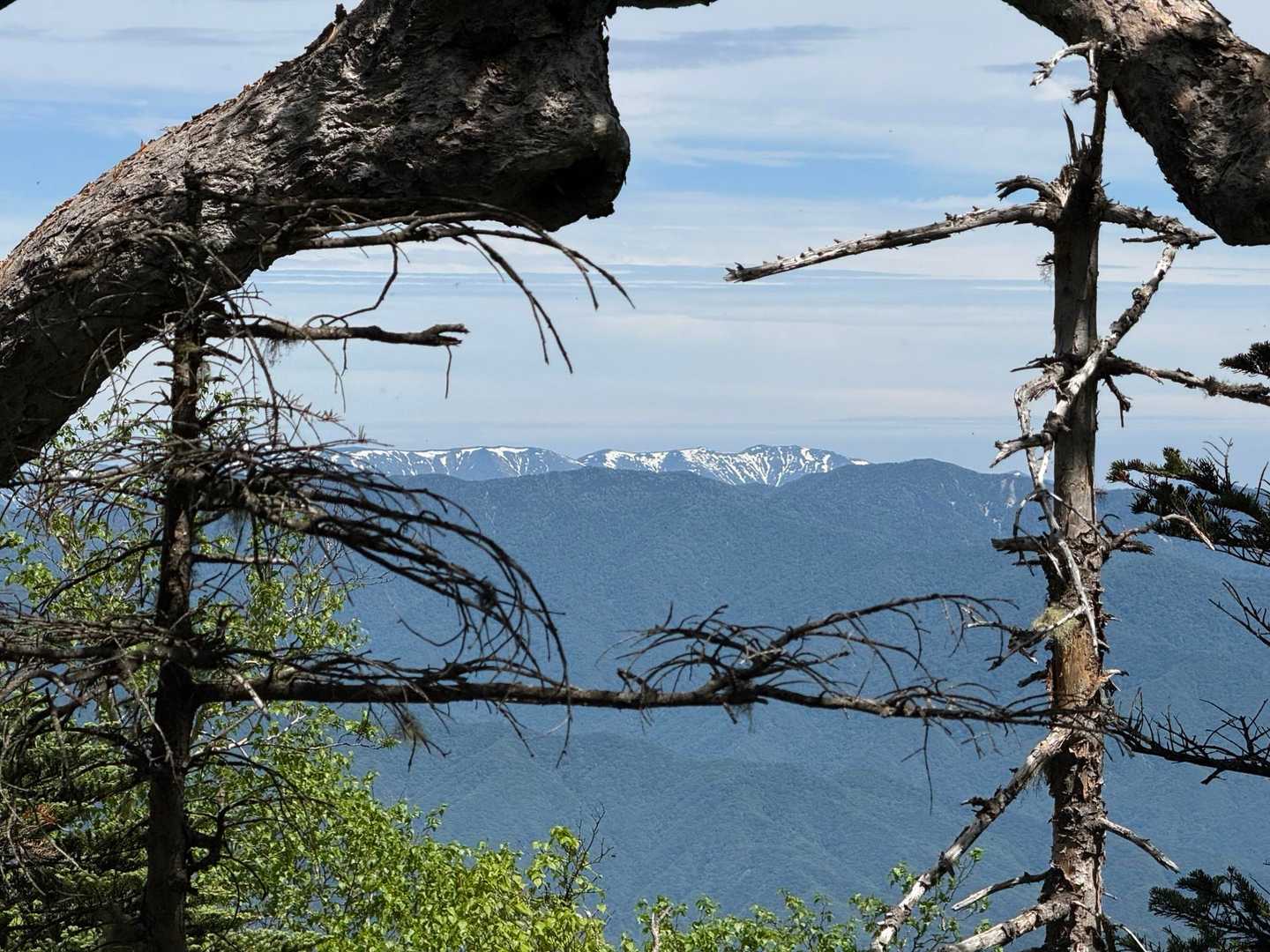 雪山🤩