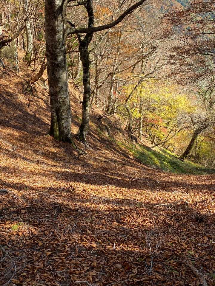 コーヒーで一息。名残惜しいが下山開始。