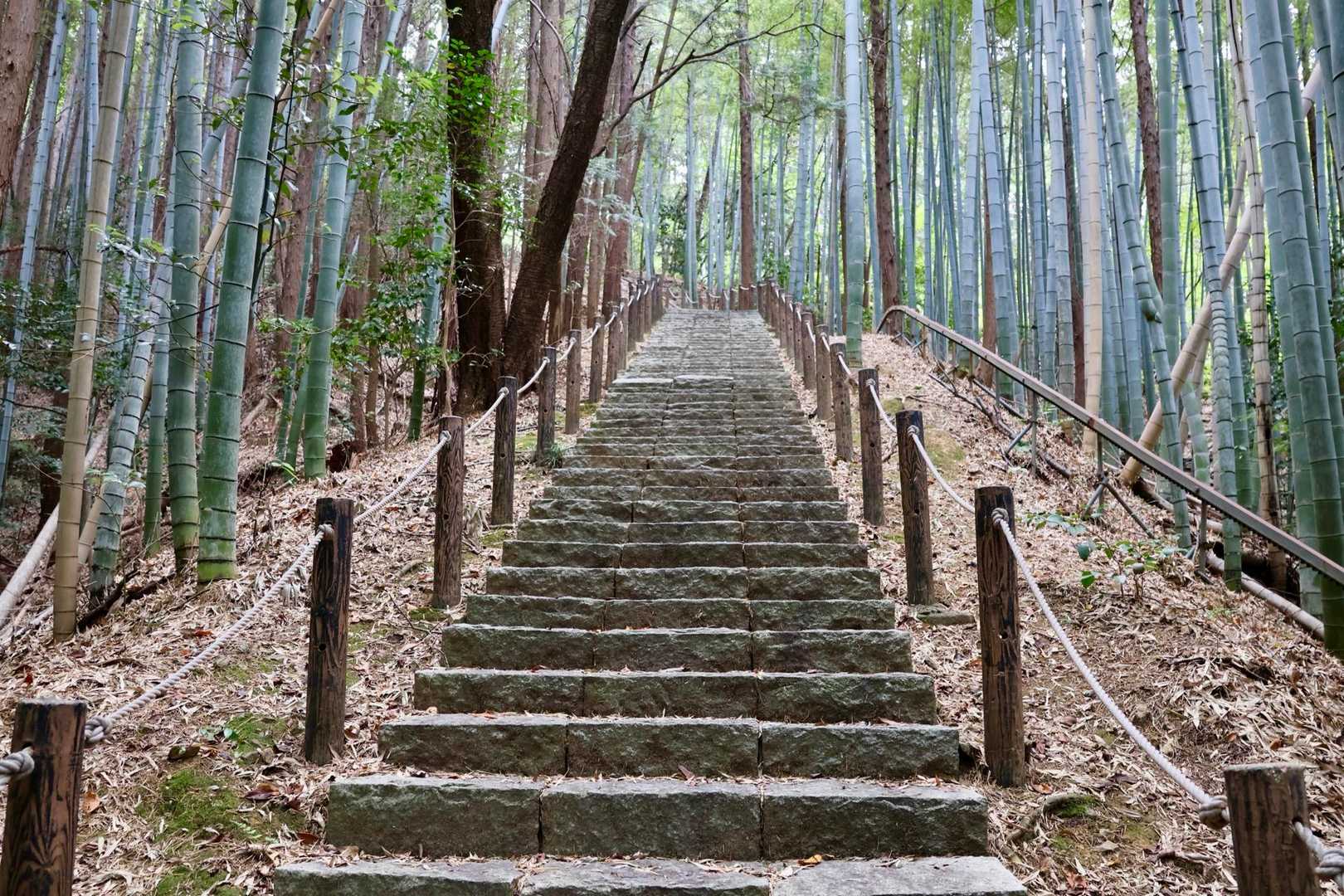 ずっと階段😅