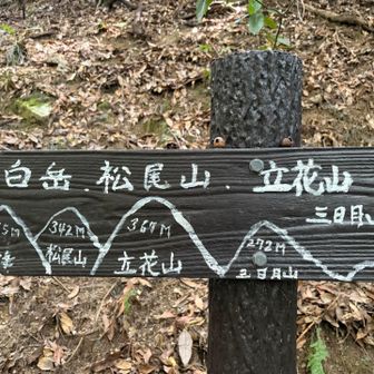 なんか好きな道標