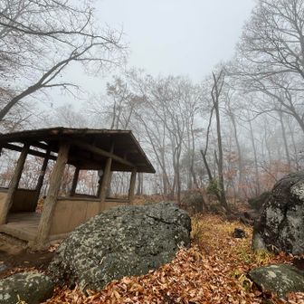 白くてミステリアス