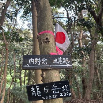 ‥龍ヶ岳(北)  山頂