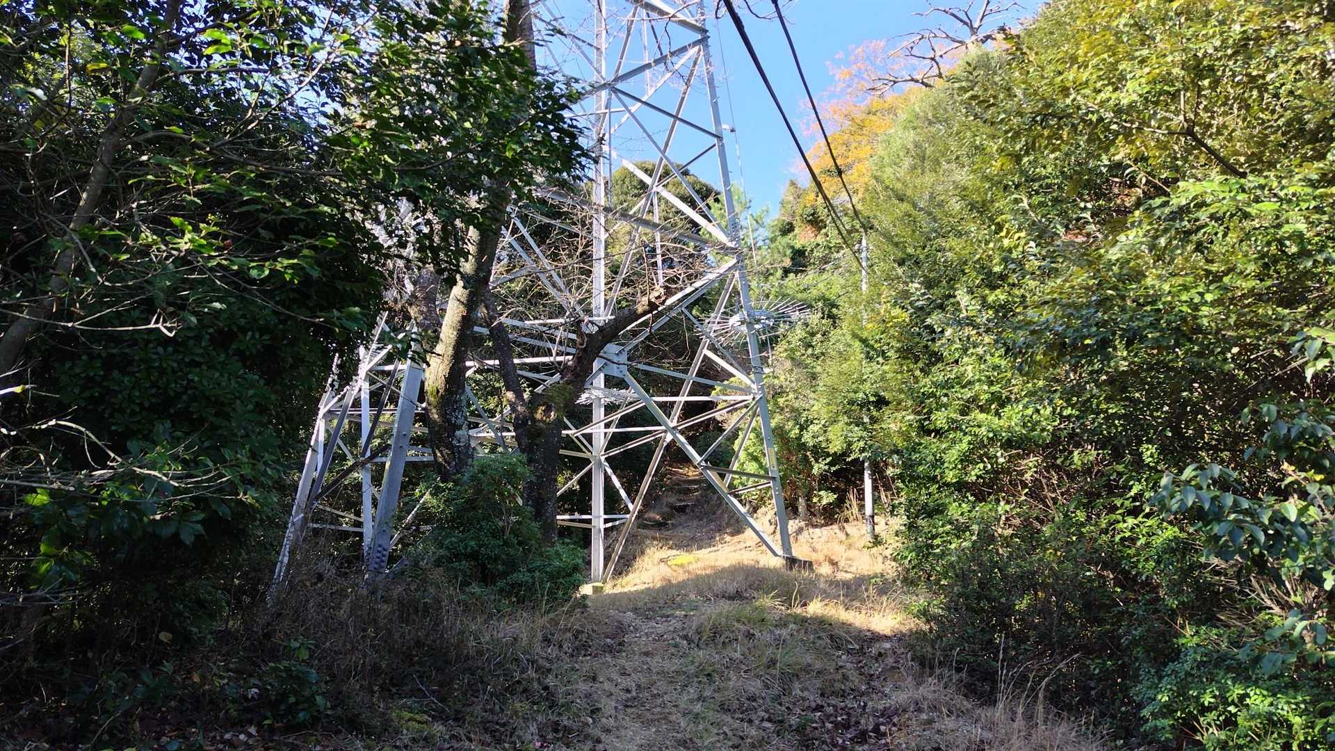 鉄塔にでました
眺望はないで〜す