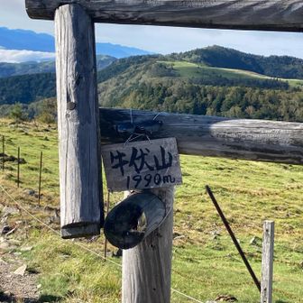 道の端っこに小さな看板そしてサングラス🕶️の忘れ物