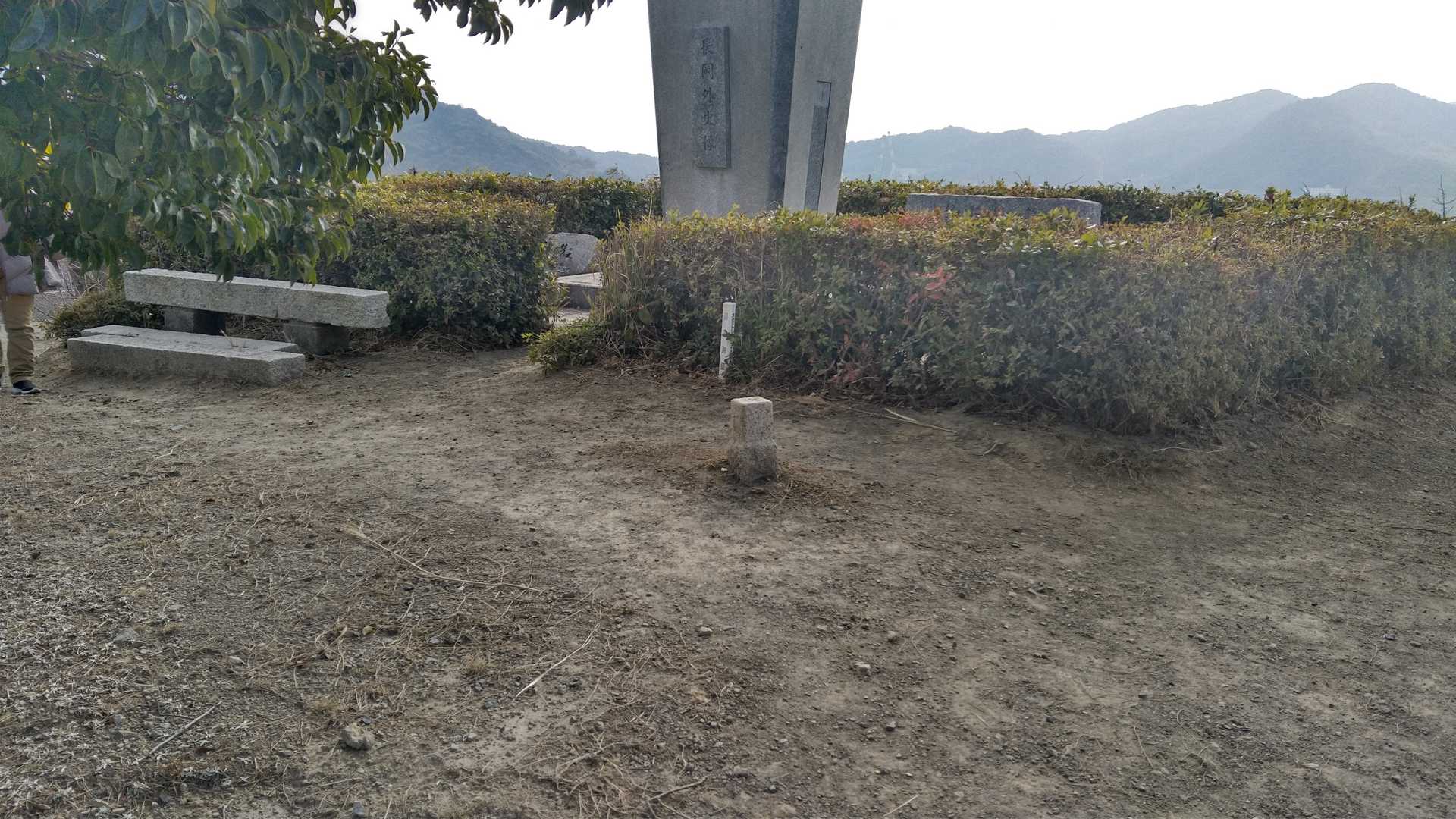 入合山山頂です✨