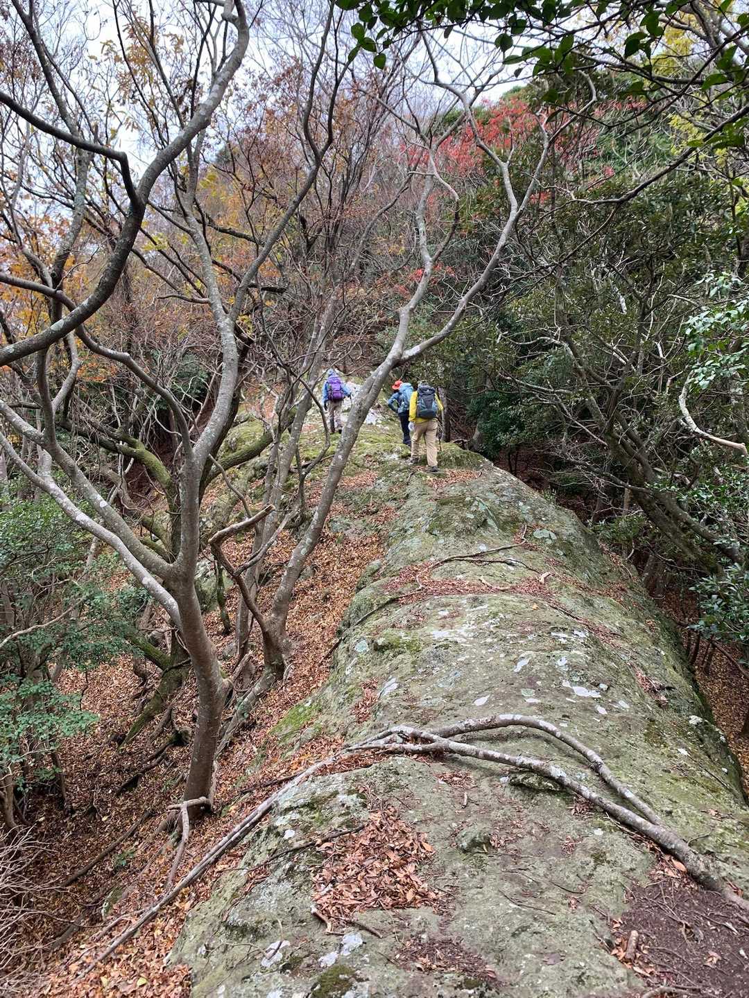 馬の背、渡ります⚠️⚠️