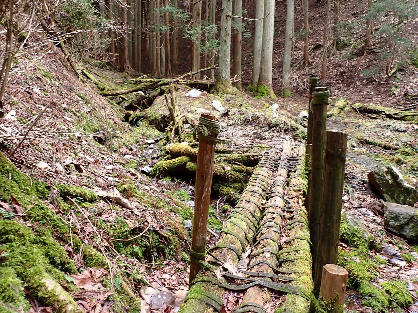 花脊高原前バス停-雲取峠-雲取山 往復コースの写真