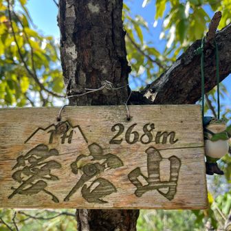 愛宕山登頂✨268m