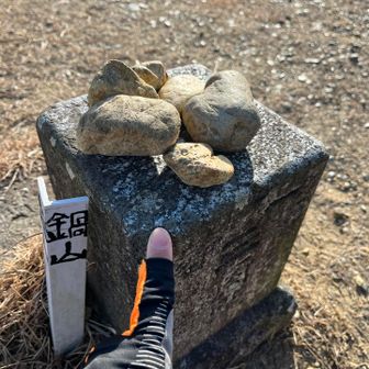 ねこは  三角点ハンターの  やくめを  はたした