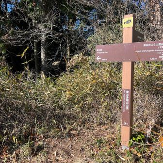 東お多福山踏破。ここも結構眺望が良いですが……