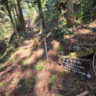 沢から登山口へ戻りました
