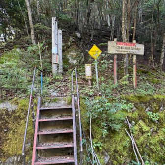何度も予習で見たこの梯子から登山開始！