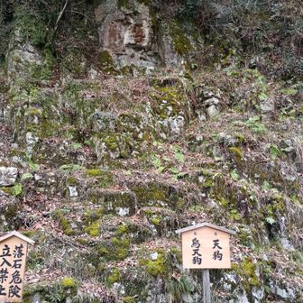 天狗見えますか？