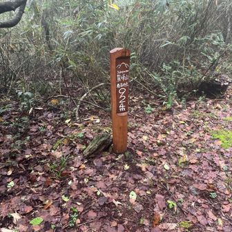 鷲峰山登頂