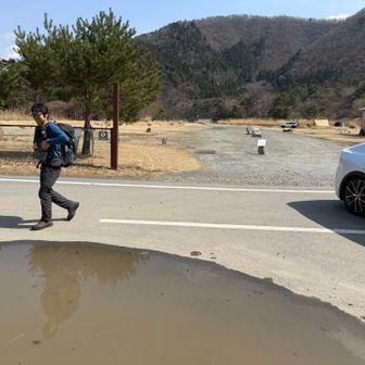 やーまんさん水たまりから生還🙌

しかし…外人さんの運転するプリウスに轢かれそうになりながらも回避👏

水たまりには逆さやーまんさんが🙏