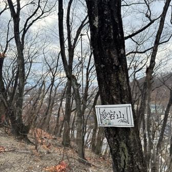 グレーピークゲット　

働き者のQちゃん
