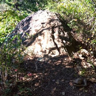 これが天狗岩らしい⋯