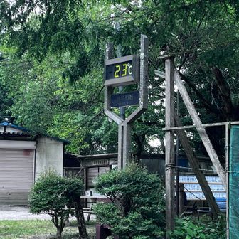 下山前14時半の気温は23℃
だいぶ涼しい日でした😆
