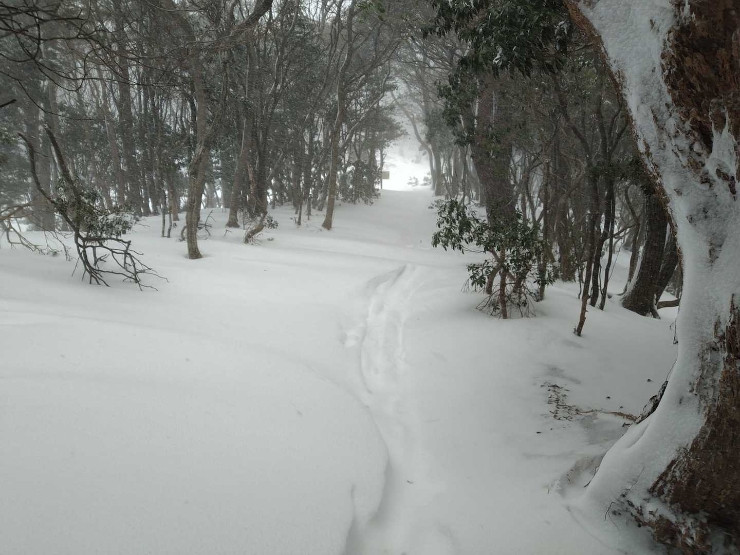 だいぶ雪深くなってくる