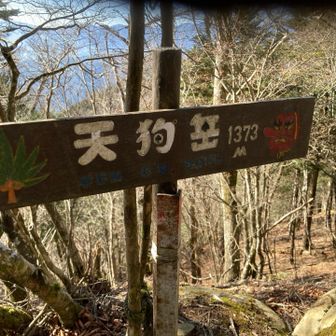 マイナーピークをいくつか超えて、折り返し地点着〜🙌

この先は毛無山まで繋がっている🎵
いつか繋げたいな