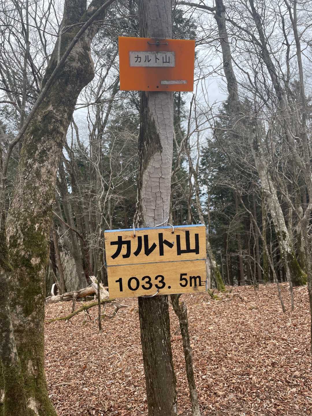 カルト山に到着👻