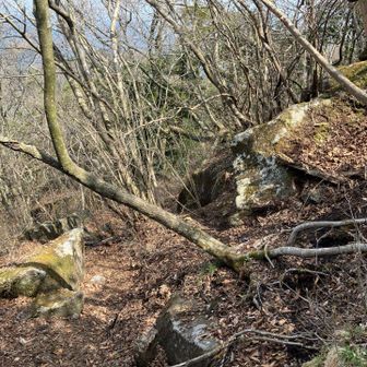 行きに踏み跡をたどり間違え🫱そうになり、引き返して🫲へ行った地点