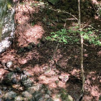 左岸に岩の祠が崩れてます
