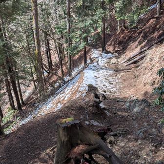 この辺りから❄