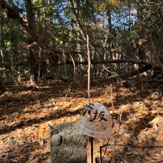 赤坂山
今日はここで折り返します